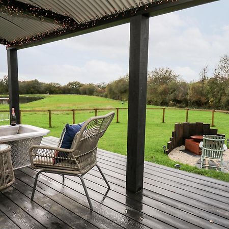 Dragonfly Shepherd'S Hut Villa Aberaeron Exterior photo