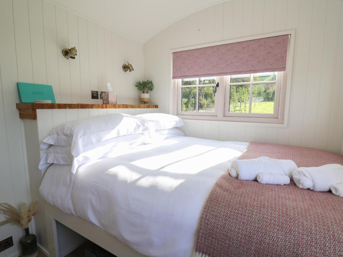 Dragonfly Shepherd'S Hut Villa Aberaeron Exterior photo